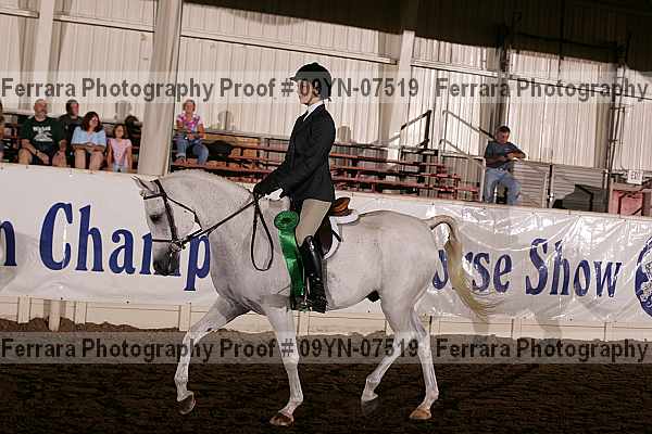 Proof 09yn-07519