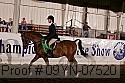 09yn-07520 proof