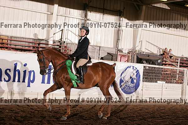 Proof 09yn-07524
