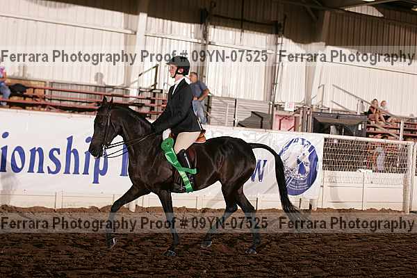 Proof 09yn-07525
