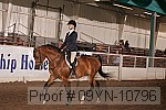 09yn-10796 proof