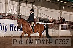 09yn-10797 proof