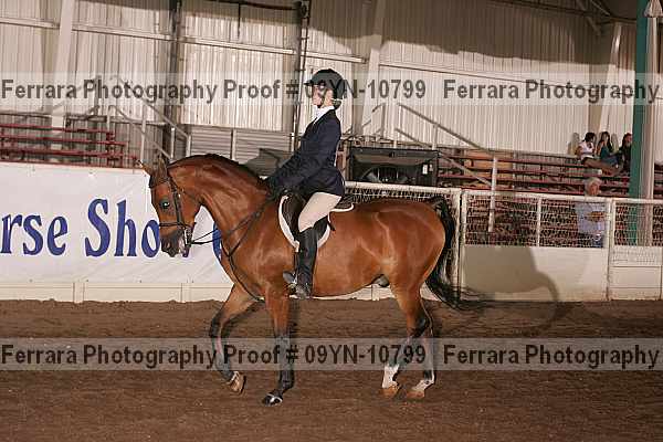 Proof 09yn-10799