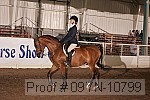 09yn-10799 proof