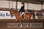 09yn-10800 proof