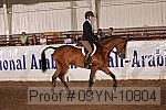 09yn-10804 proof