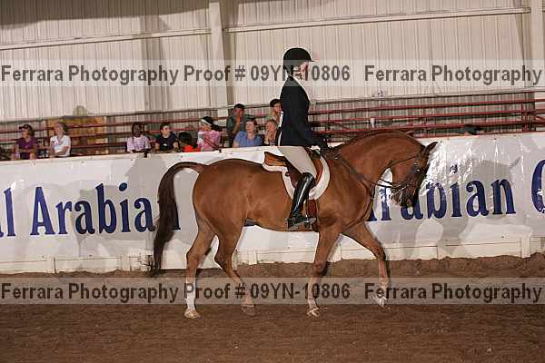 Proof 09yn-10806