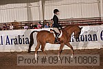 09yn-10806 proof