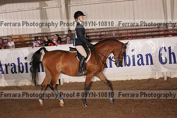 Proof 09yn-10810