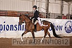 09yn-10812 proof