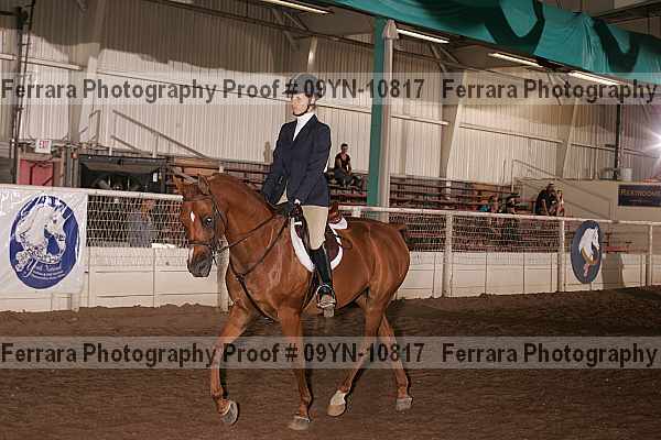 Proof 09yn-10817