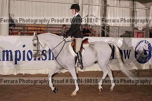 Proof 09yn-10818