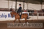 09yn-10820 proof