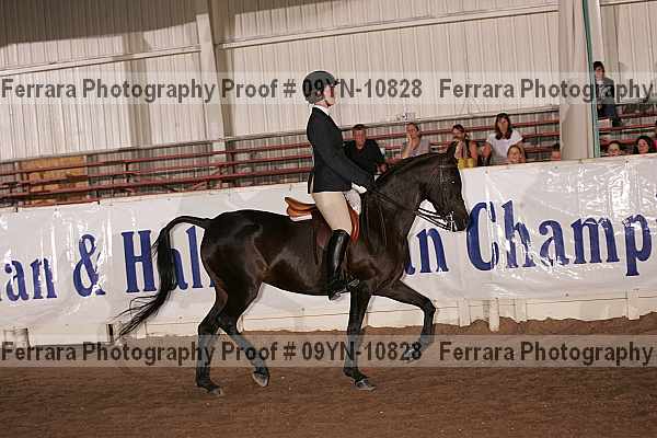Proof 09yn-10828
