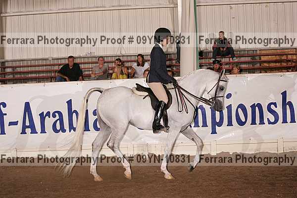 Proof 09yn-10831