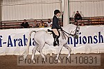 09yn-10831 proof