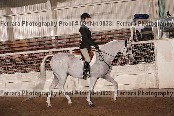 Proof 09yn-10833