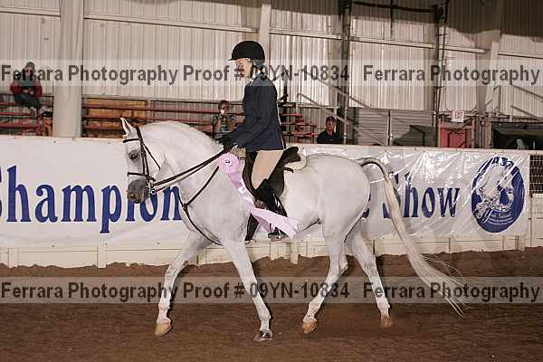 Proof 09yn-10834