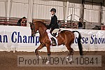 09yn-10841 proof