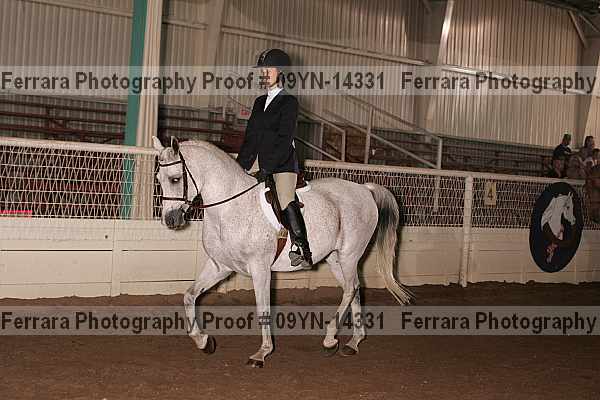 Proof 09yn-14331