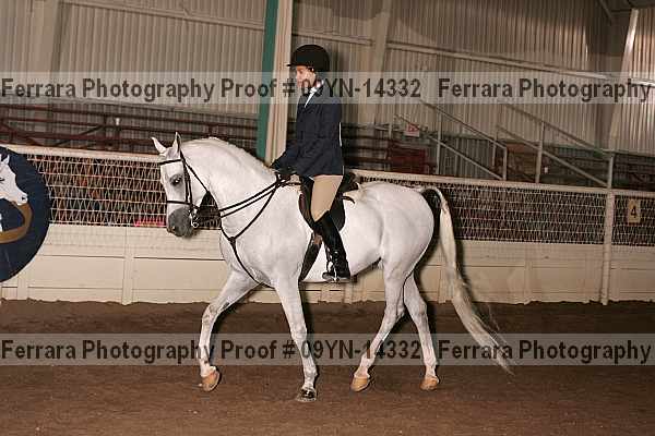 Proof 09yn-14332
