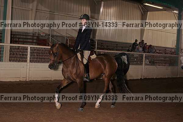 Proof 09yn-14333