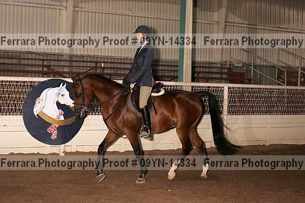Proof 09yn-14334