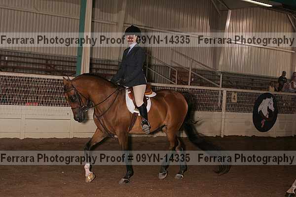 Proof 09yn-14335