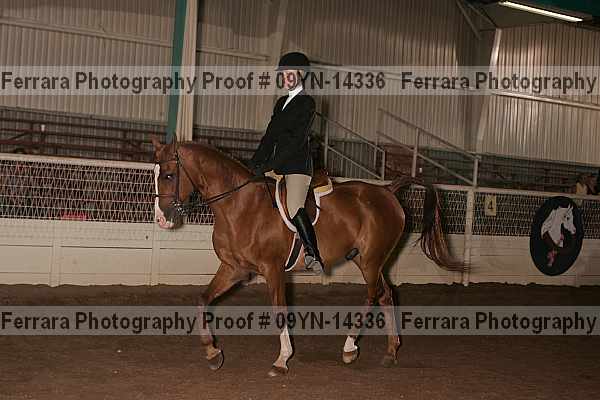 Proof 09yn-14336