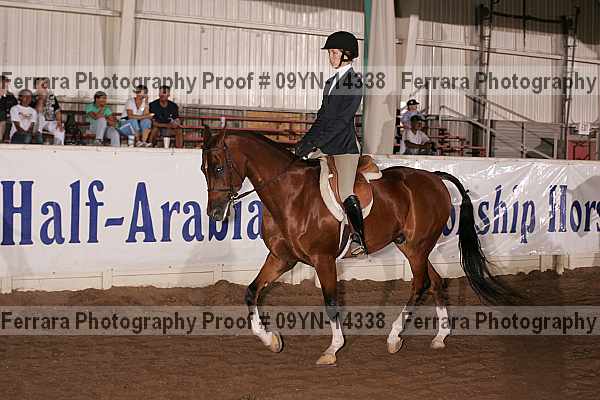 Proof 09yn-14338