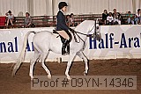 09yn-14346 proof