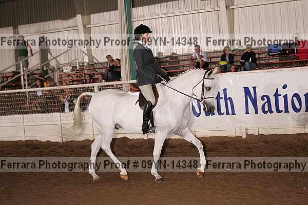 Proof 09yn-14348