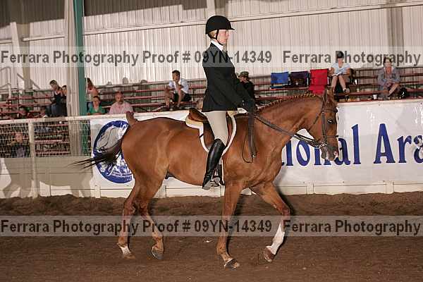 Proof 09yn-14349