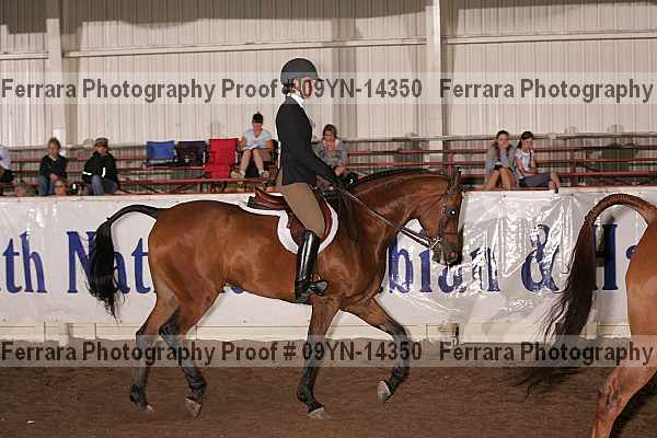 Proof 09yn-14350