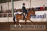 09yn-14351 proof