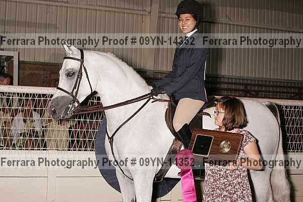 Proof 09yn-14352