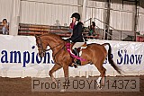 09yn-14373 proof
