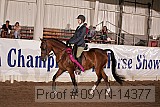 09yn-14377 proof