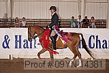 09yn-14381 proof