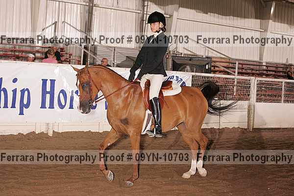 Proof 09yn-10703