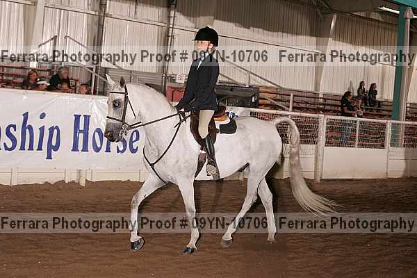 Proof 09yn-10706