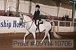 09yn-10706 proof
