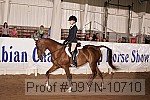 09yn-10710 proof