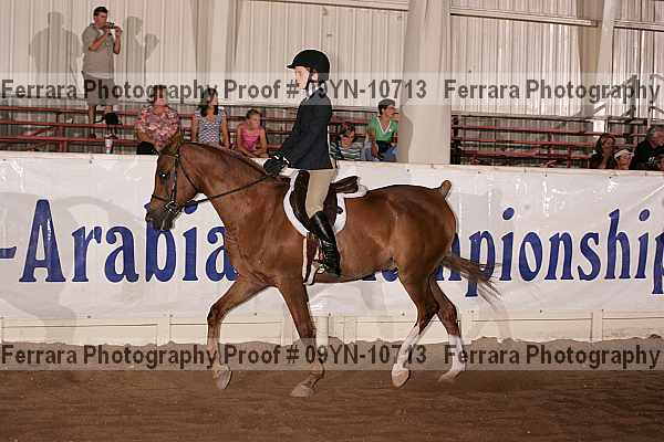 Proof 09yn-10713