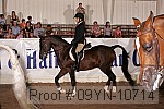 09yn-10714 proof