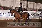 09yn-10715 proof