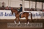09yn-10717 proof