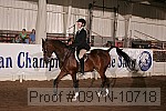 09yn-10718 proof