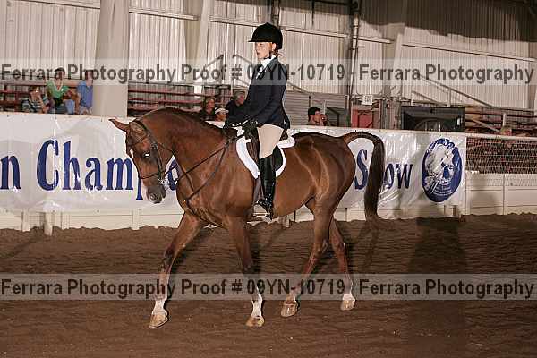 Proof 09yn-10719