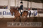 09yn-10719 proof